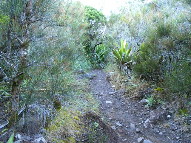 Un autre tronçon plus caillouteux