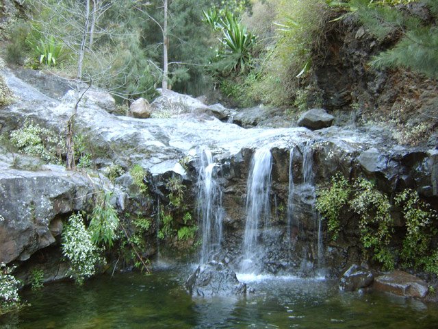 La Ravine Ferrière qui termine sa course par plusieurs petites chutes