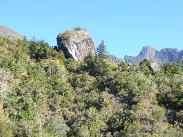 Gros rocher près de son champ de lentilles