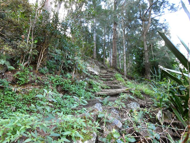 Dernière montée avant le retour vers le Bras Rouge et l'Îlet de Bois Rouge