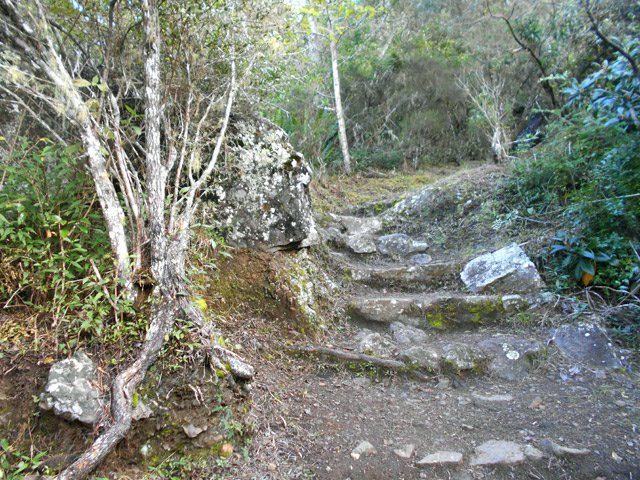 Montée sur hautes marches en direction de la route de l'Îlet à Cordes et l'Îlet de Bois Rouge