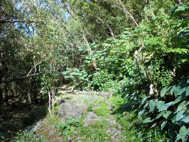 Le sentier qui longe la Ravine des Calumets