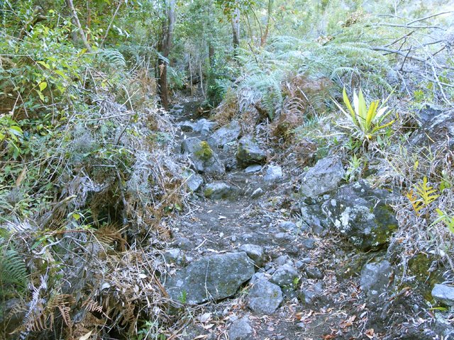 Sentier parfois très rocailleux