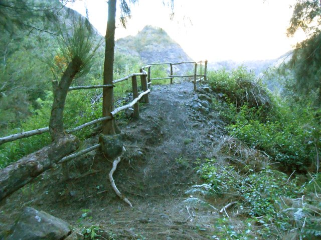 Le point de vue demeure mais est désormais envahi de filaos et galaberts