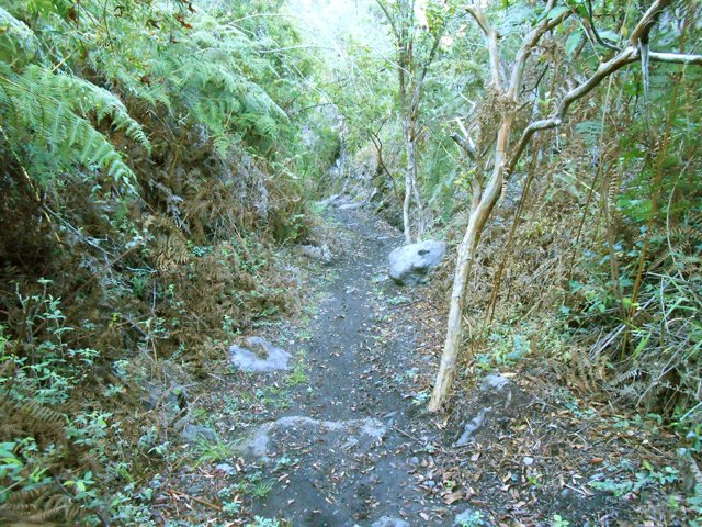 Sentier facile entre deux ou trois montées courtes