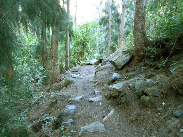 Sentier ombragé très agréable