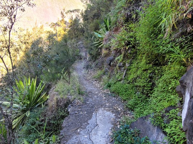 Dernière portion du sentier se terminant à Palmiste Rouge