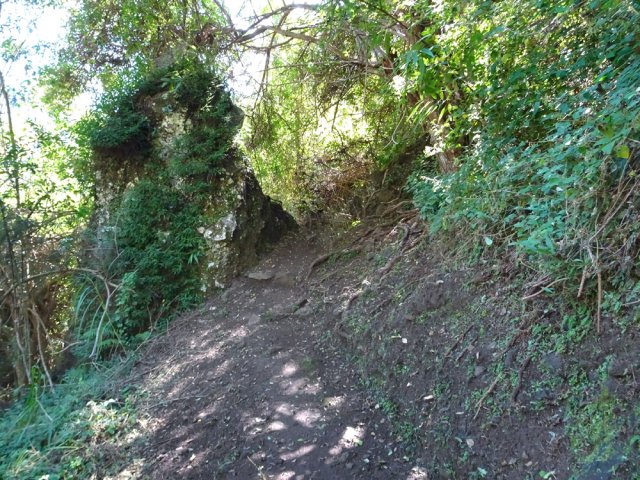Une dent rocheuse en bordure de sentier