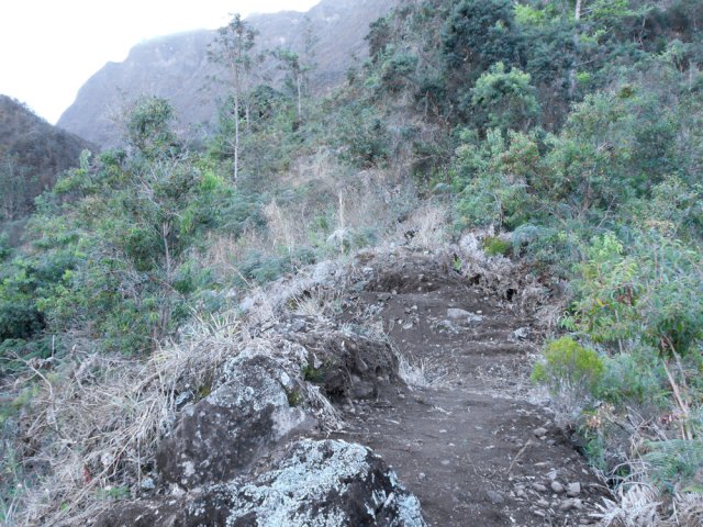 Portion plus terreuse