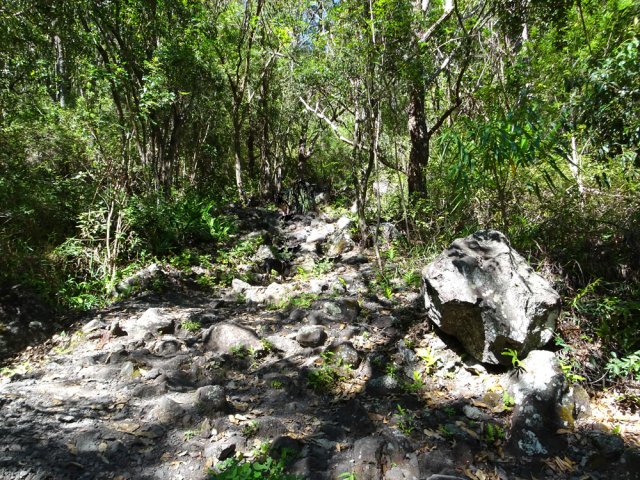 Début de la montée sur des pierres avec hautes marches