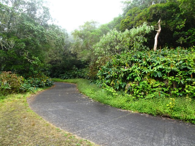 La route du Tévelave, longtemps abandonnée, sera bientôt réparée
