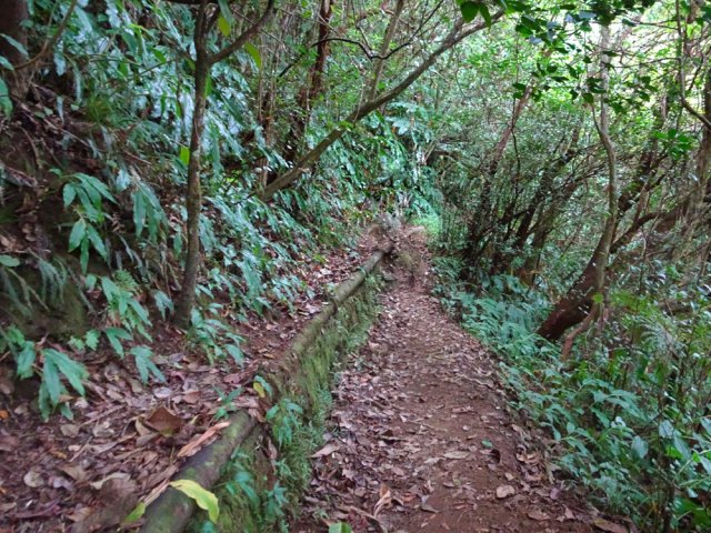 On longe la tuyauterie dans les premières centaines de mètres