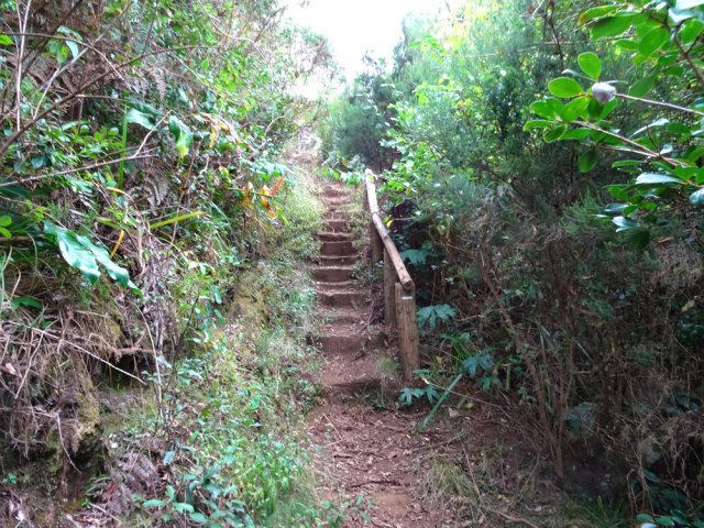 Quelques marches un peu raides pour atteindre la route
