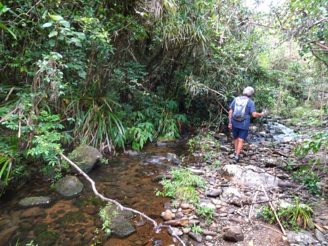 Remonter la Ravine Charpentier d'une dizaine de mètres pour reprendre la trace