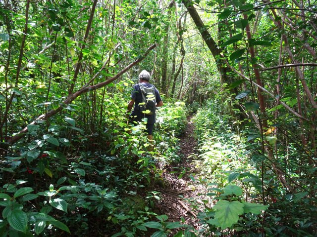 Début du sentier pour couper la boucle en deux