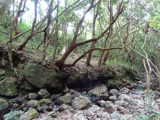 Le gué se trouve plus bas à la fin de la petite falaise