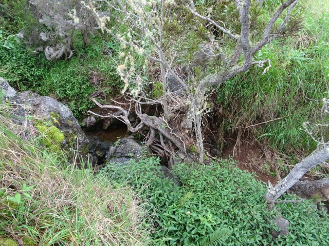 Le Bras Mouton vu depuis le pont ou en tout début de boucle