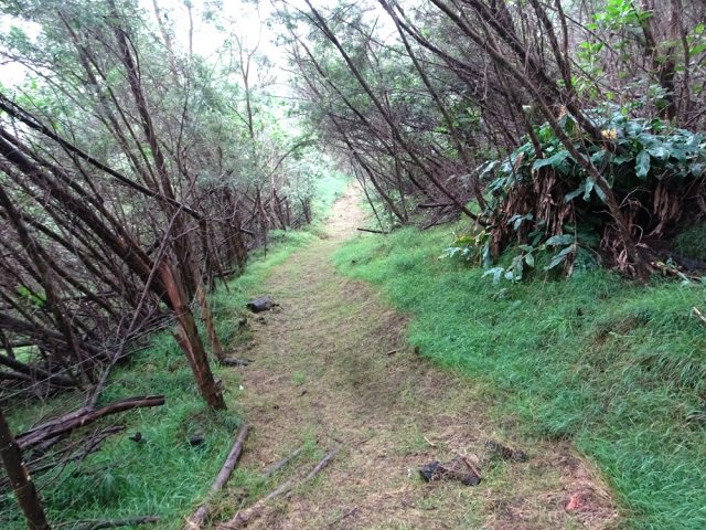 On perd la clôture puis on la retrouve