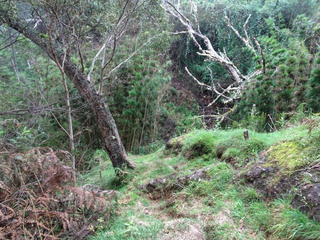 Un détour sportif aménagé pour s'éloigner de la ligne domaniale