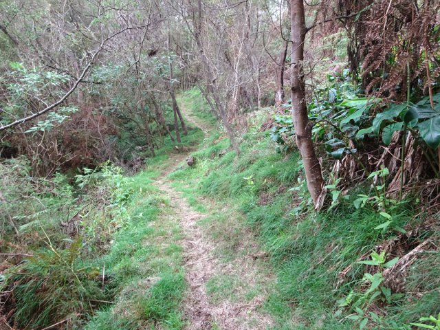 Une autre partie du sentier proche des clôtures