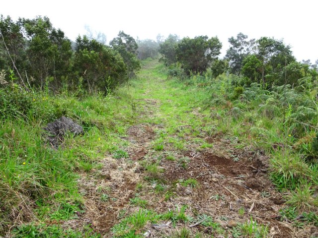 Piste herbeuse presque plate