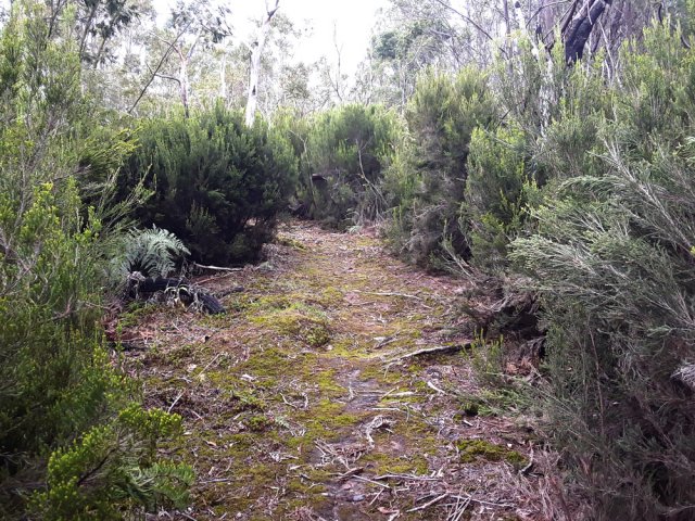 D'autres parties dans les branles verts