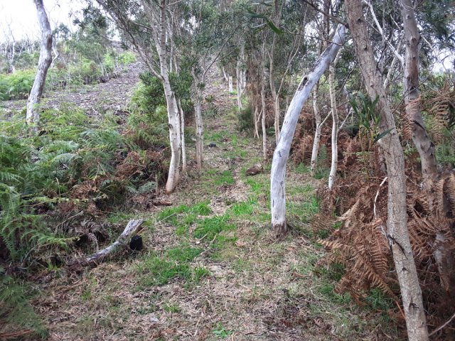 On s'approche de la zone d'enfouissement de la canalisation