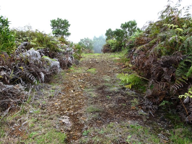 Une courte zone est recouverte de petites pierres