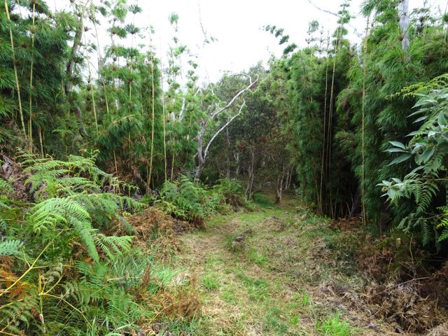 Les premiers calumets font leur apparition