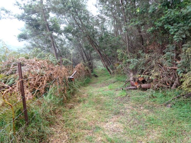 Le sentier longe la clôture