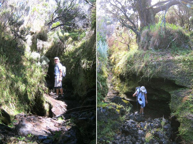 Marcher dans le fond de cette ravine est un pur plaisir pour les yeux