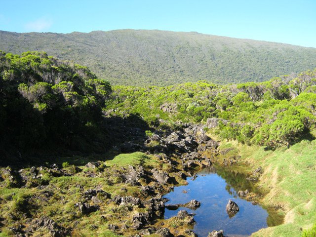Une flaque restant dans la Ravine de la Savane Cimetière le plus souvent à sec