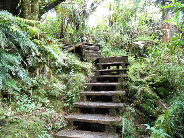 La descente au belvédère du trou de Fer sur des planchers grillagés