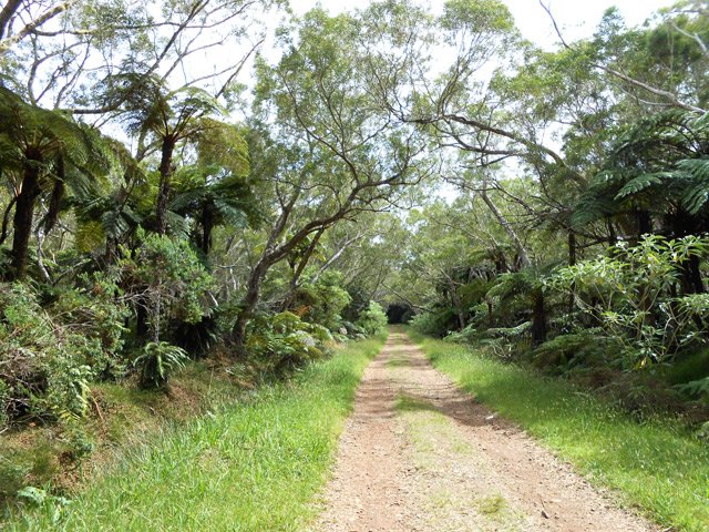 La fin du parcours, sur piste, est un pur plaisir de calme et de facilité