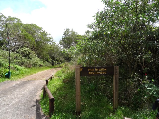 Fin de la piste. La randonnée se termine sur la route avec peu de circulation