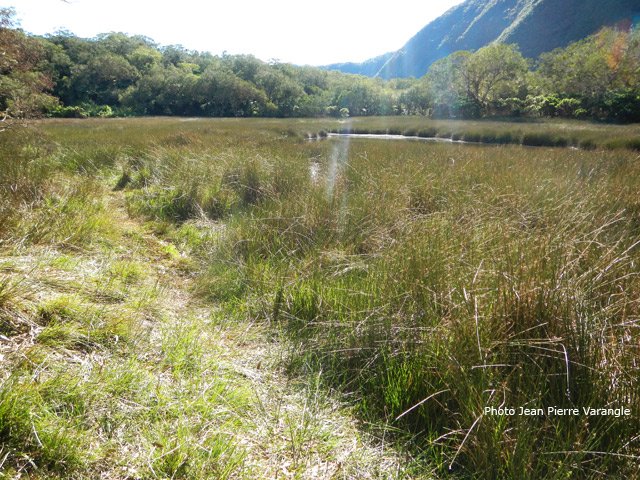 La Grande Mare, dont on peut faire le tour