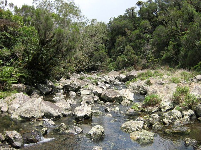 Petite balade le long de la Ravine Mazerin avant d'attaquer la montée