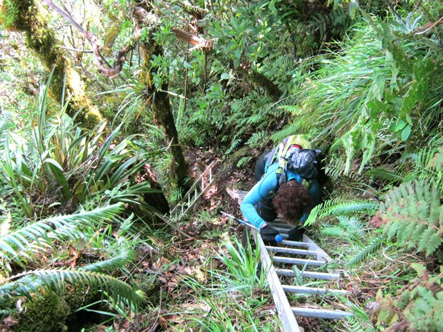 La pente est raide mais les échelles sont de très bonne qualité