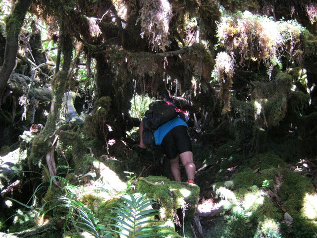 Certains passages s'effectuent courbé sous les mousses