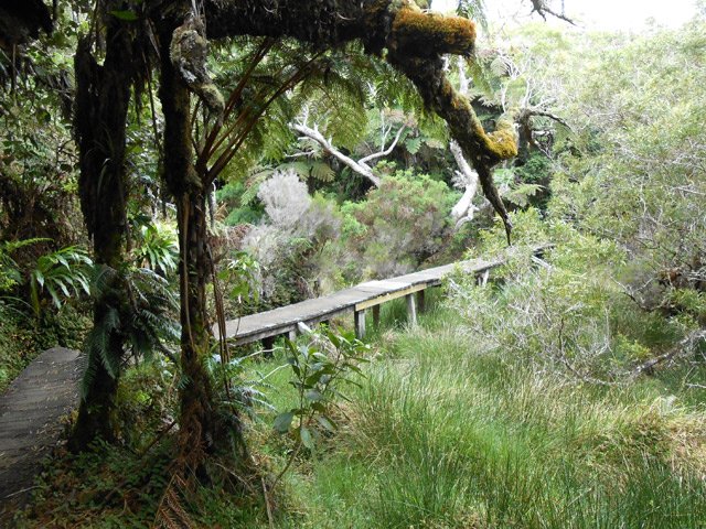 Des pontons sont même édifiés pour franchir les marécages ou ravines