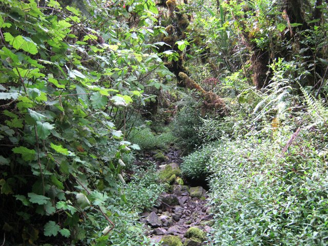 Le balisage est rare et on pense parfois s'être égaré