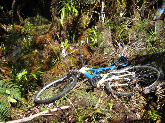 Il faut autant de courage pour monter à vélo que pour s'en débarrasser !!