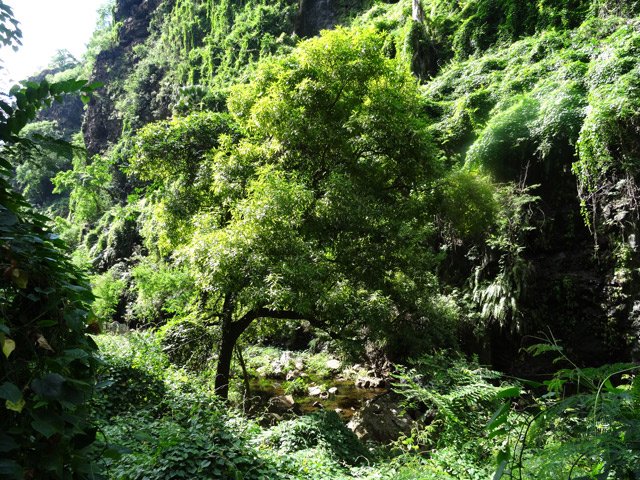 Vue sur la ravine depuis le sentier de descente