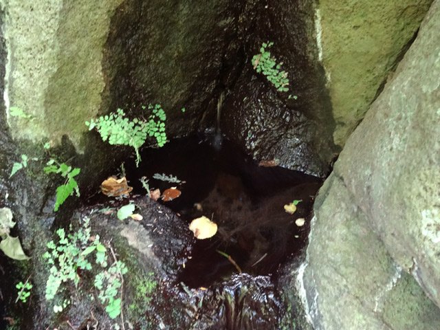 La source le long du sentier qui coule entre deux roches