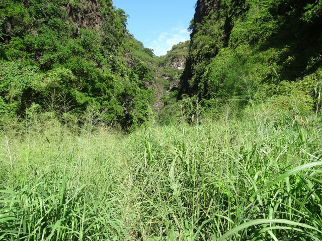 Le sentier devient difficile à distinguer mais on ne peut le perdre