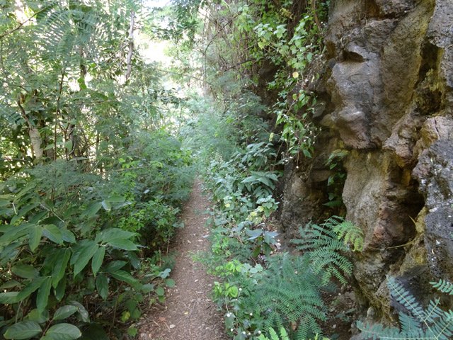 Quelques belles portions sèches et plates