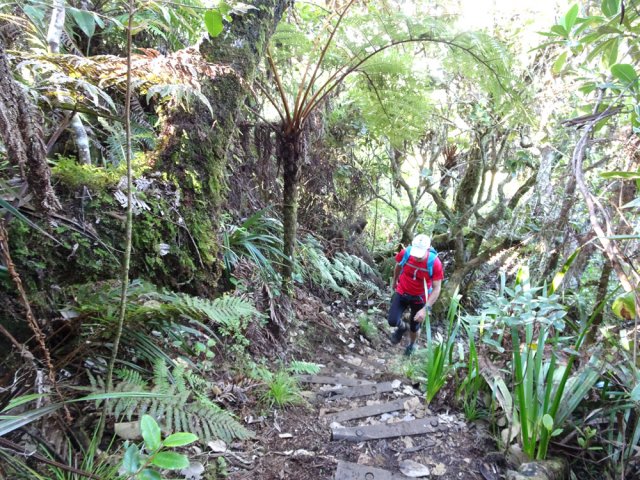 Début des premières longues séries de marches