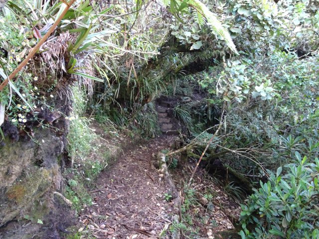 Une partie plate pour s'éloigner du sentier marron qui montait trop fortement