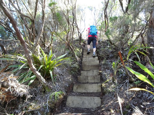 La fin de la montée s'effectue dans les branles verts