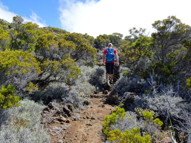 Le paysage du Morne Langevin recouvert surtout de brandes